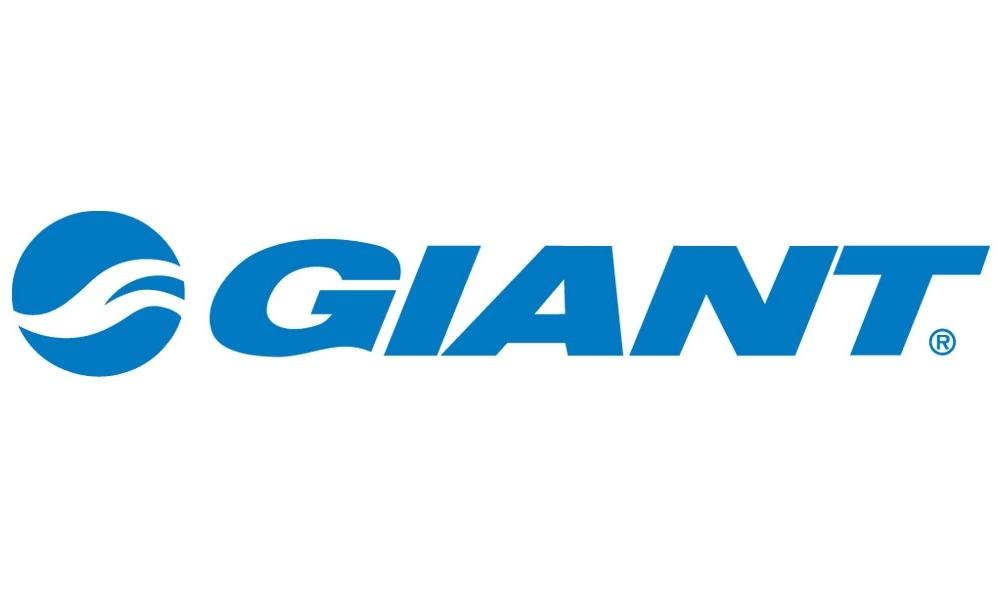 Giant Best Mountain Bike Brands in Australia